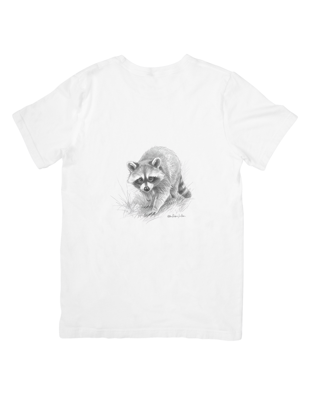 11 Raccoon Animation Wall Art Bundle - Kids Room & Home Decor Digital Prints - Suitable for Print on Demand