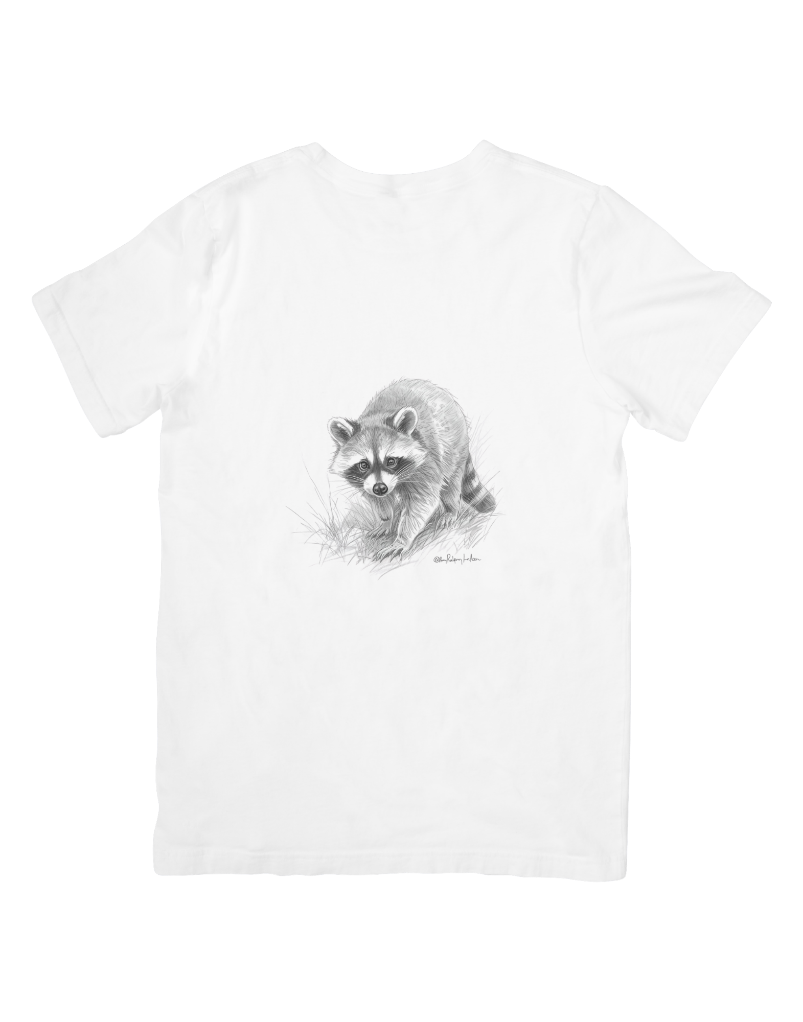 11 Raccoon Animation Wall Art Bundle - Kids Room & Home Decor Digital Prints - Suitable for Print on Demand