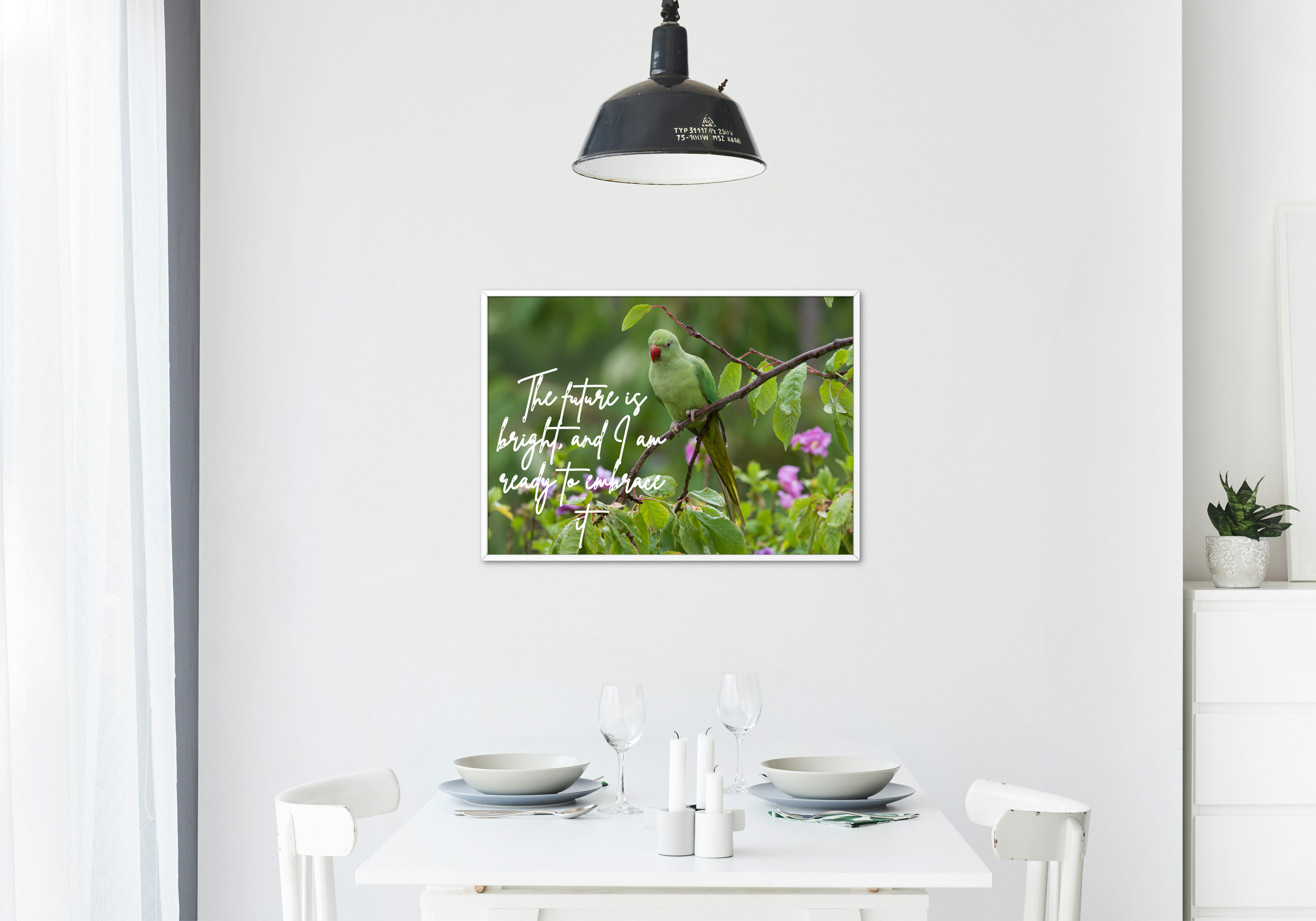 30 Positive Affirmation Parrot Portraits - Digital Wall Art Bundle for Home Decor & Print on Demand