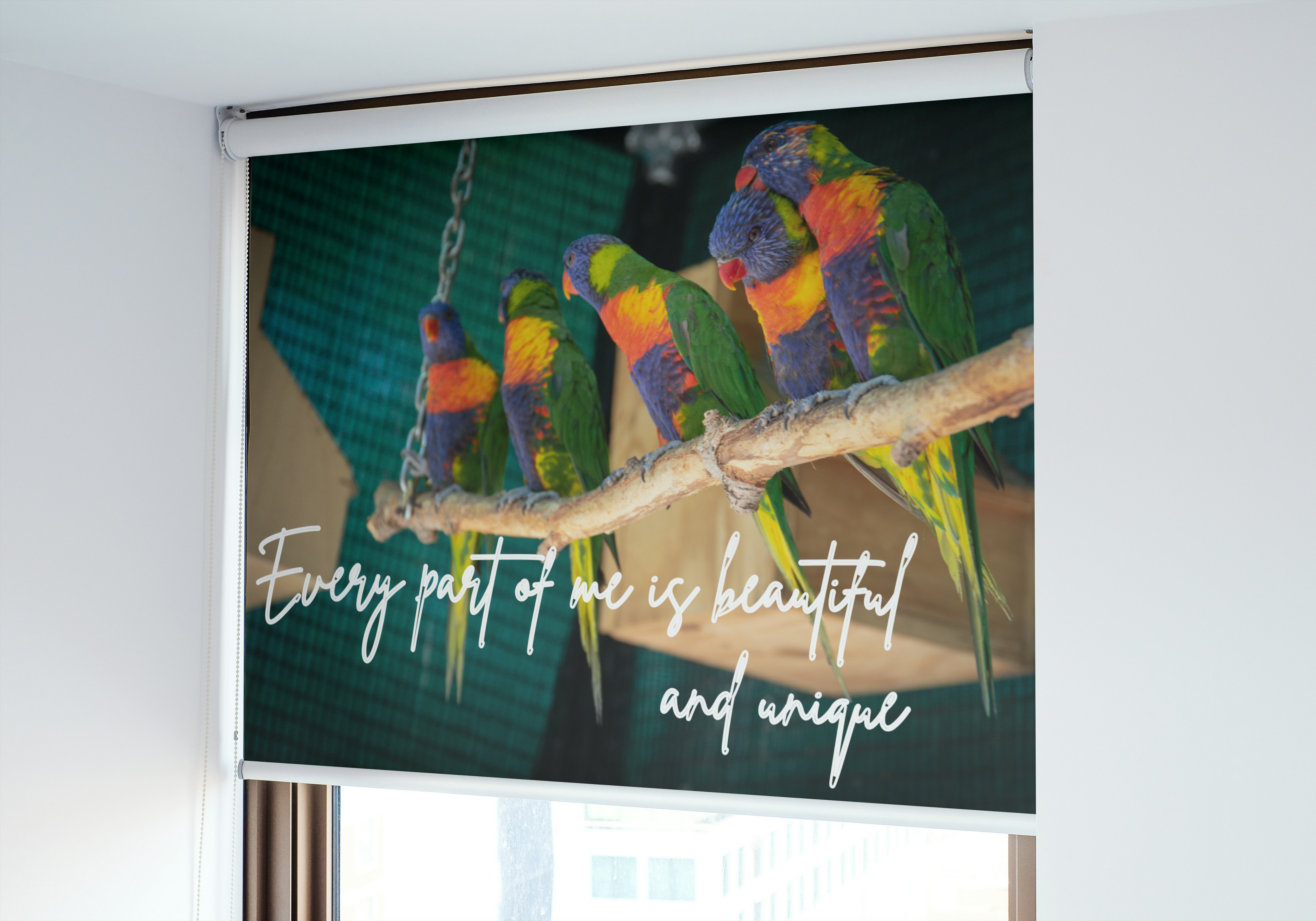 30 Positive Affirmation Parrot Portraits - Digital Wall Art Bundle for Home Decor & Print on Demand
