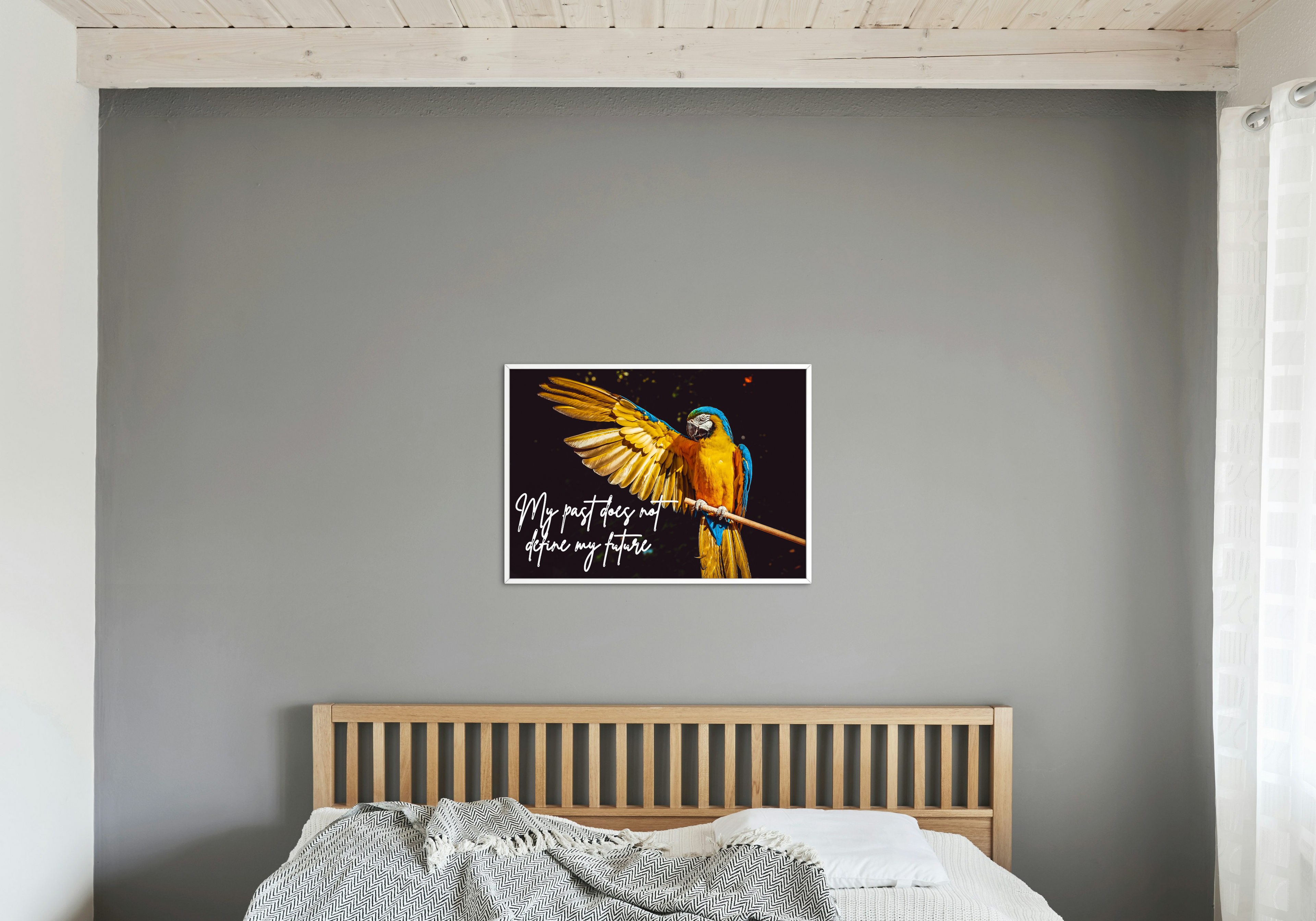 30 Positive Affirmation Parrot Portraits - Digital Wall Art Bundle for Home Decor & Print on Demand