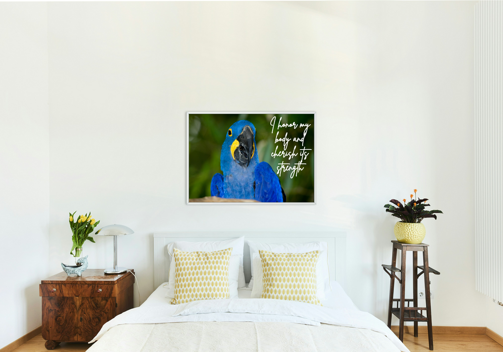 30 Positive Affirmation Parrot Portraits - Digital Wall Art Bundle for Home Decor & Print on Demand