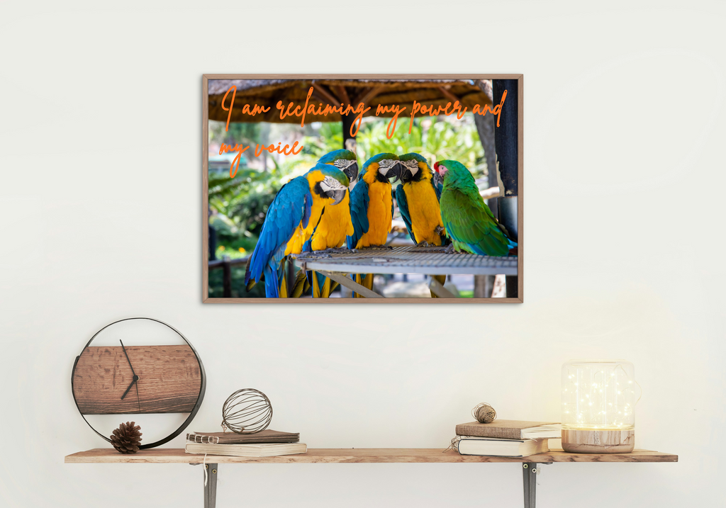 30 Positive Affirmation Parrot Portraits - Digital Wall Art Bundle for Home Decor & Print on Demand