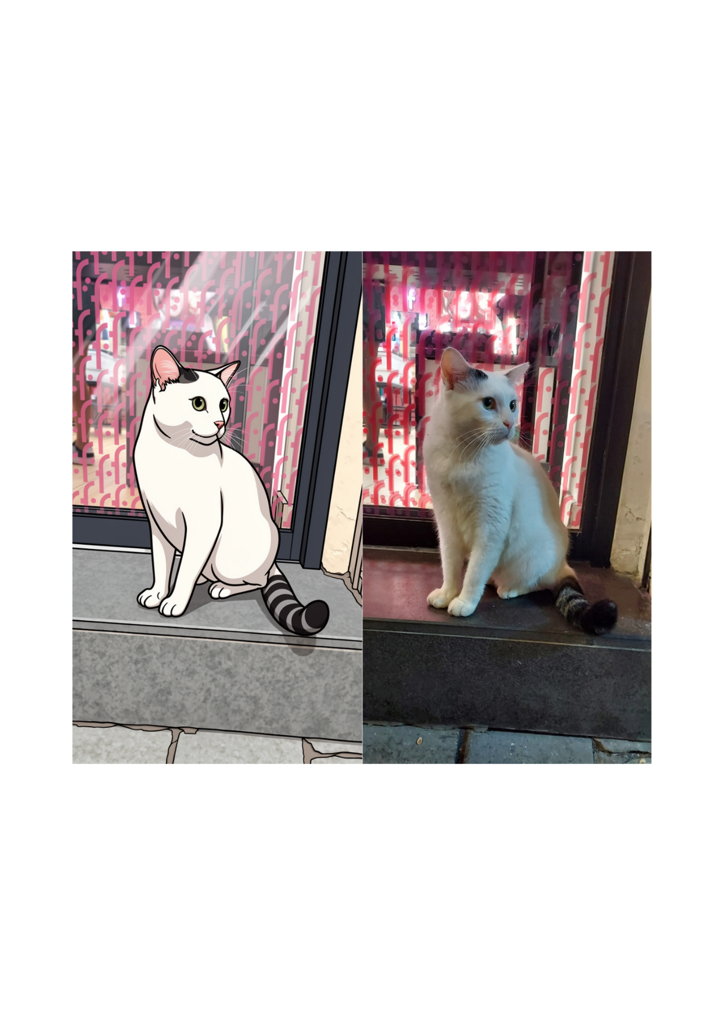 19 Animal Photos with Cartoonified Pictures Bundle - 5 Sizes for Kids Room, Home Decor & Print on Demand