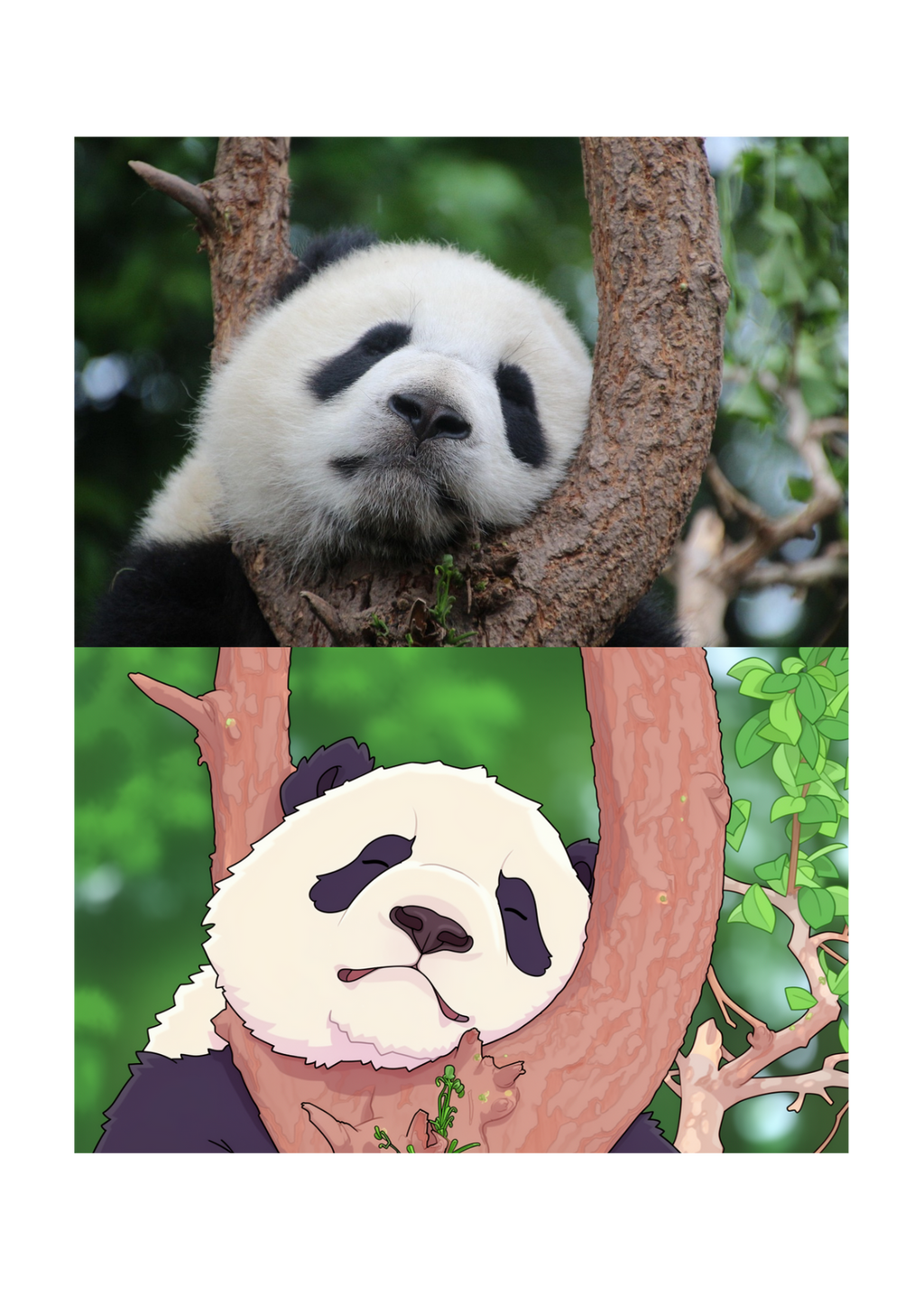 19 Animal Photos with Cartoonified Pictures Bundle - 5 Sizes for Kids Room, Home Decor & Print on Demand