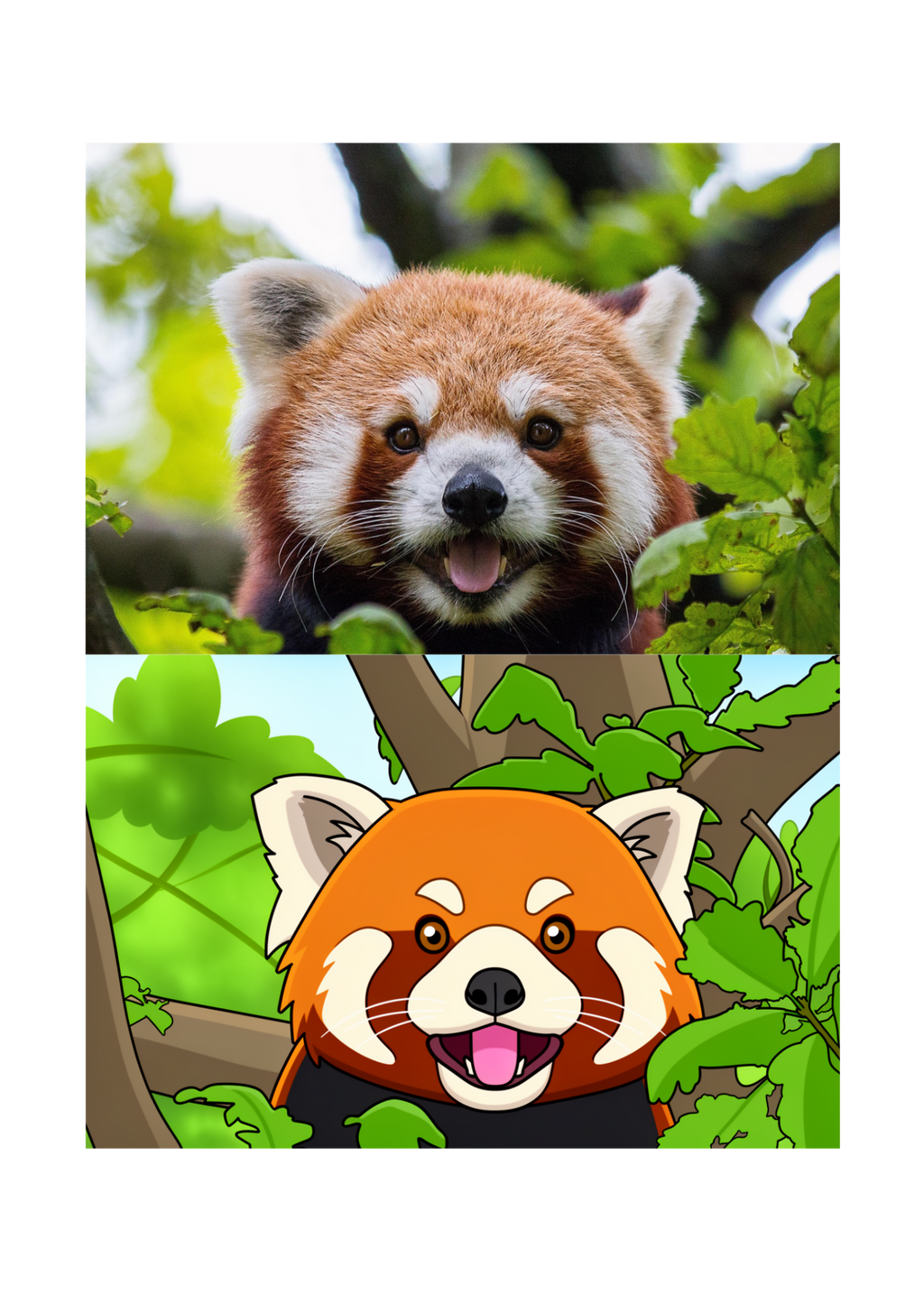 19 Animal Photos with Cartoonified Pictures Bundle - 5 Sizes for Kids Room, Home Decor & Print on Demand