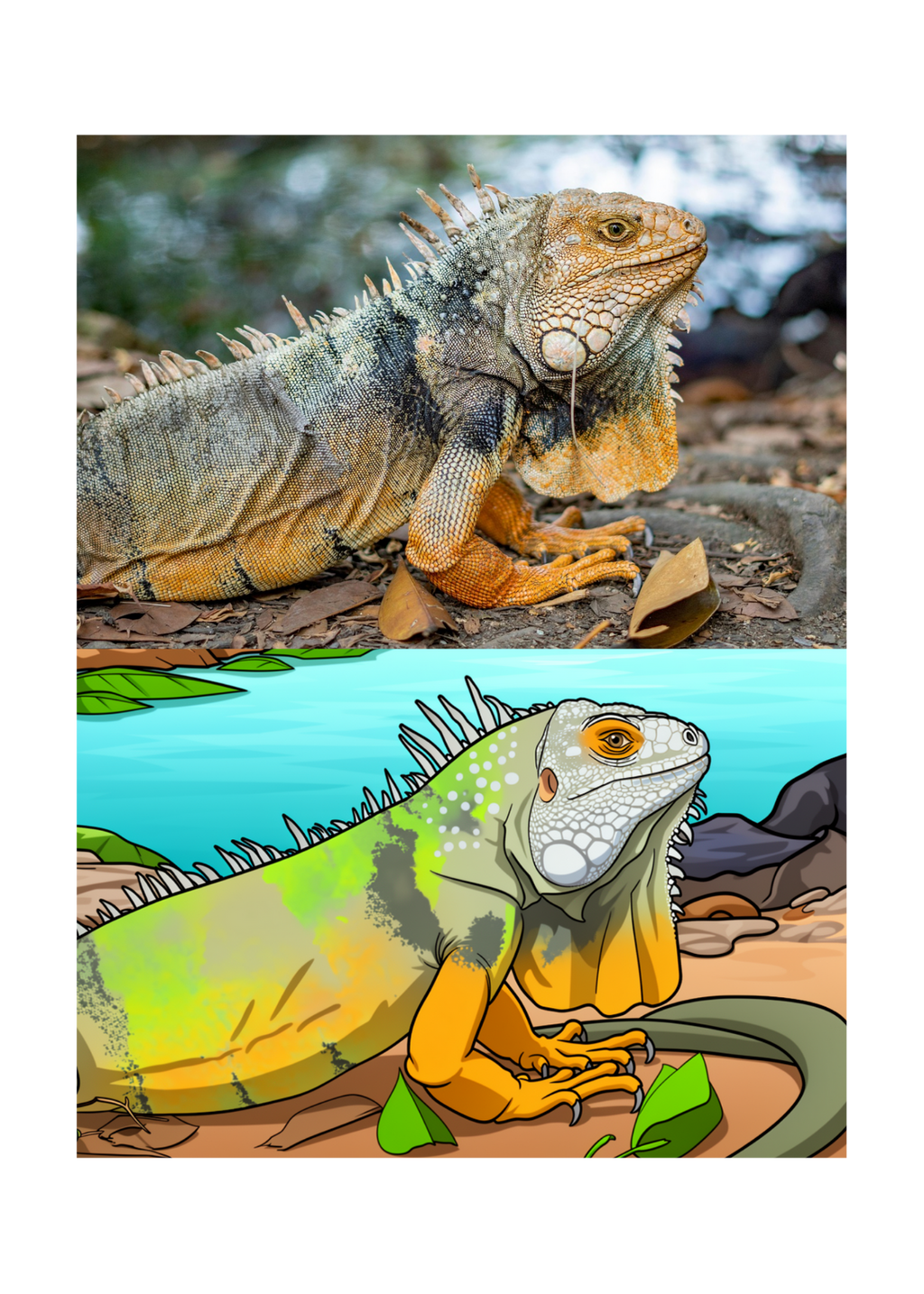 19 Animal Photos with Cartoonified Pictures Bundle - 5 Sizes for Kids Room, Home Decor & Print on Demand