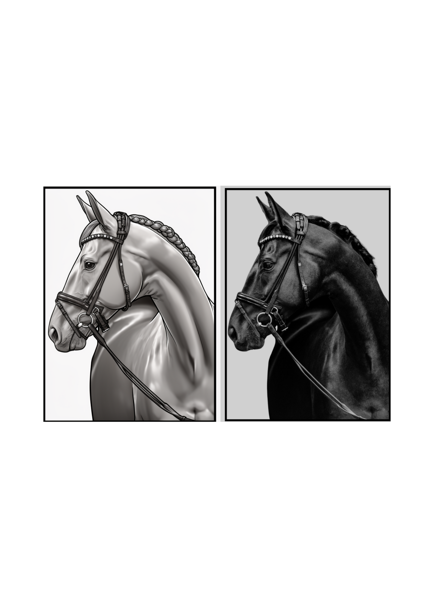 19 Animal Photos with Cartoonified Pictures Bundle - 5 Sizes for Kids Room, Home Decor & Print on Demand