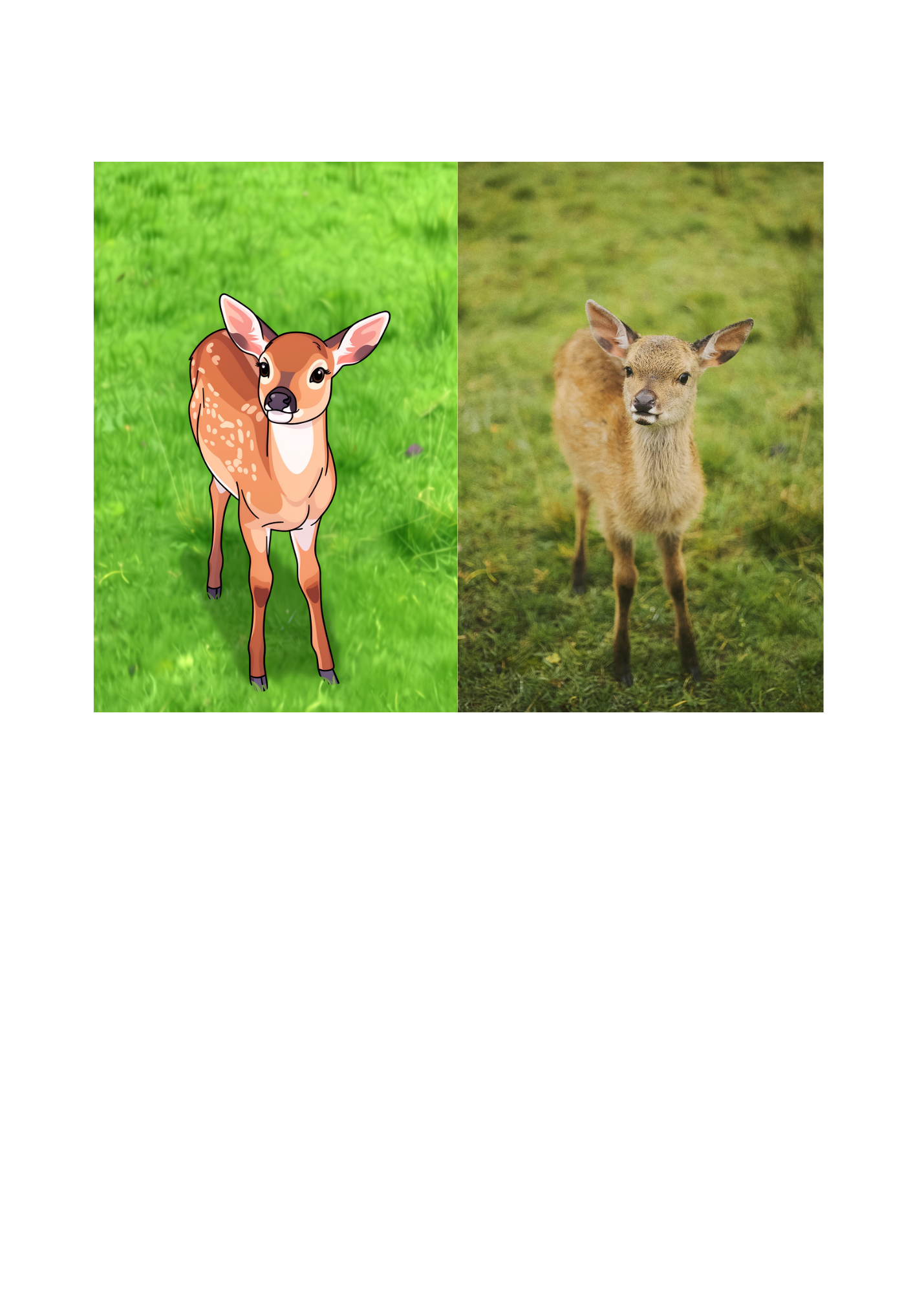 19 Animal Photos with Cartoonified Pictures Bundle - 5 Sizes for Kids Room, Home Decor & Print on Demand