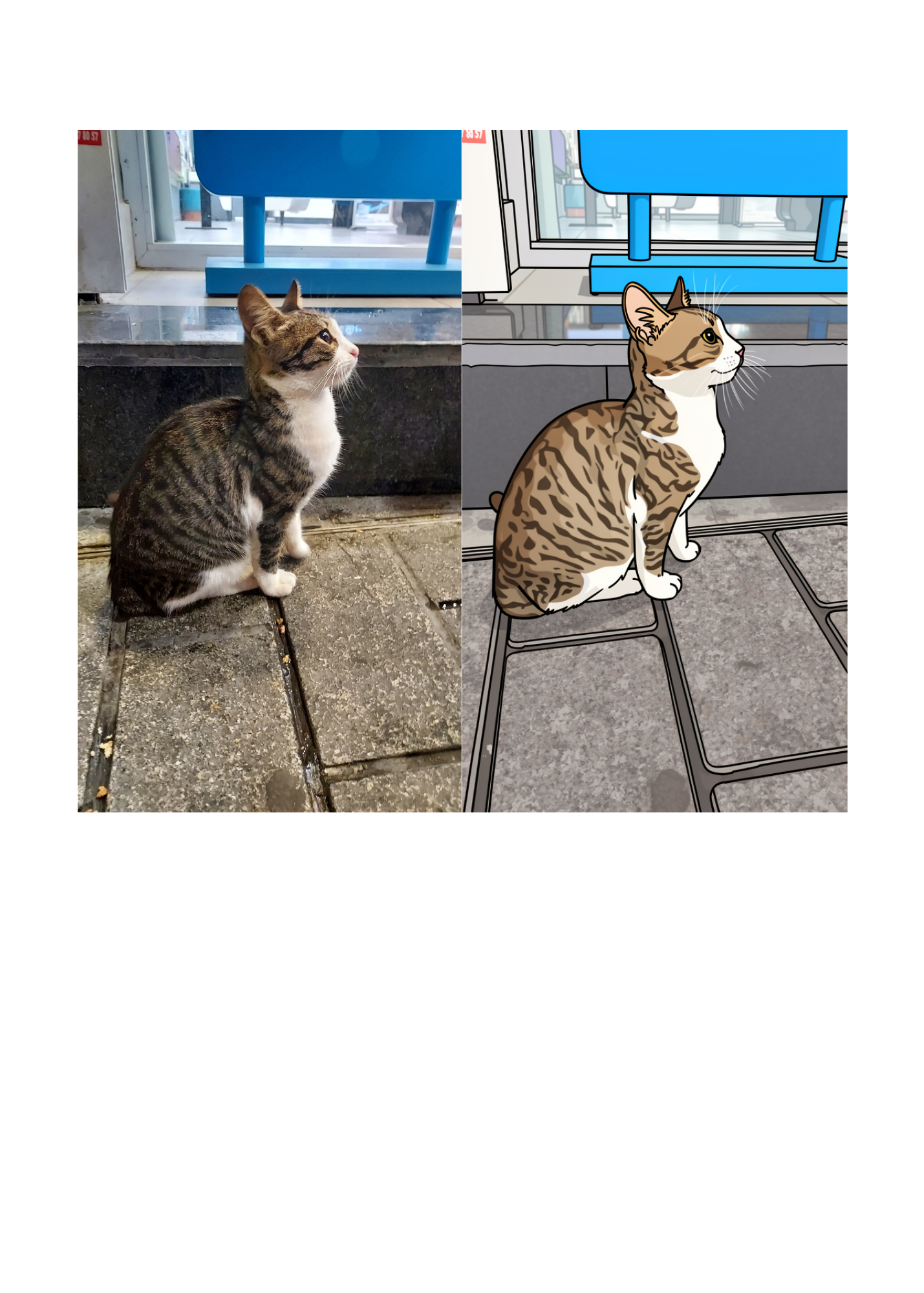 19 Animal Photos with Cartoonified Pictures Bundle - 5 Sizes for Kids Room, Home Decor & Print on Demand