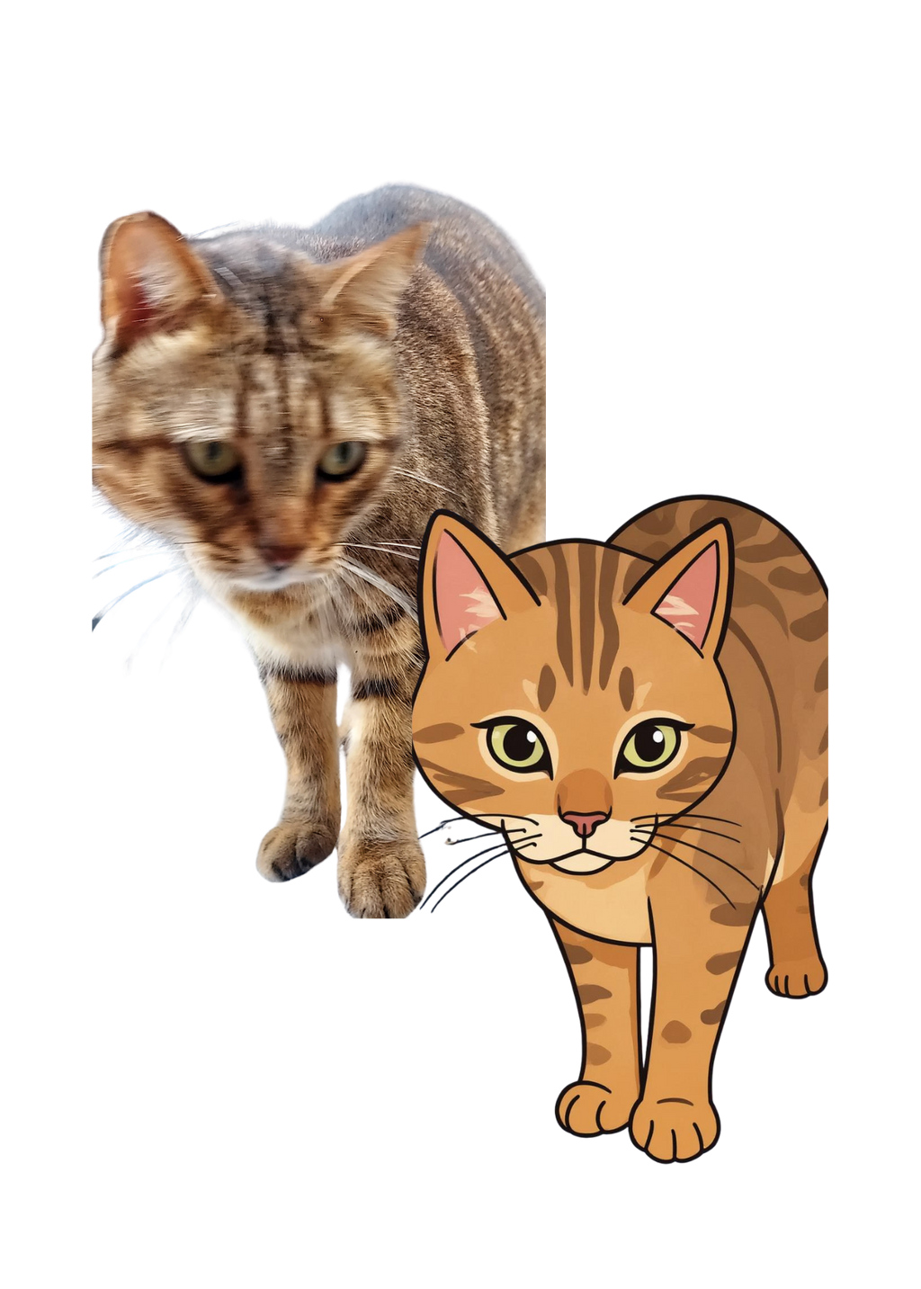 Cat Portrait Original & Cartoon Bundle - Digital Wall Art