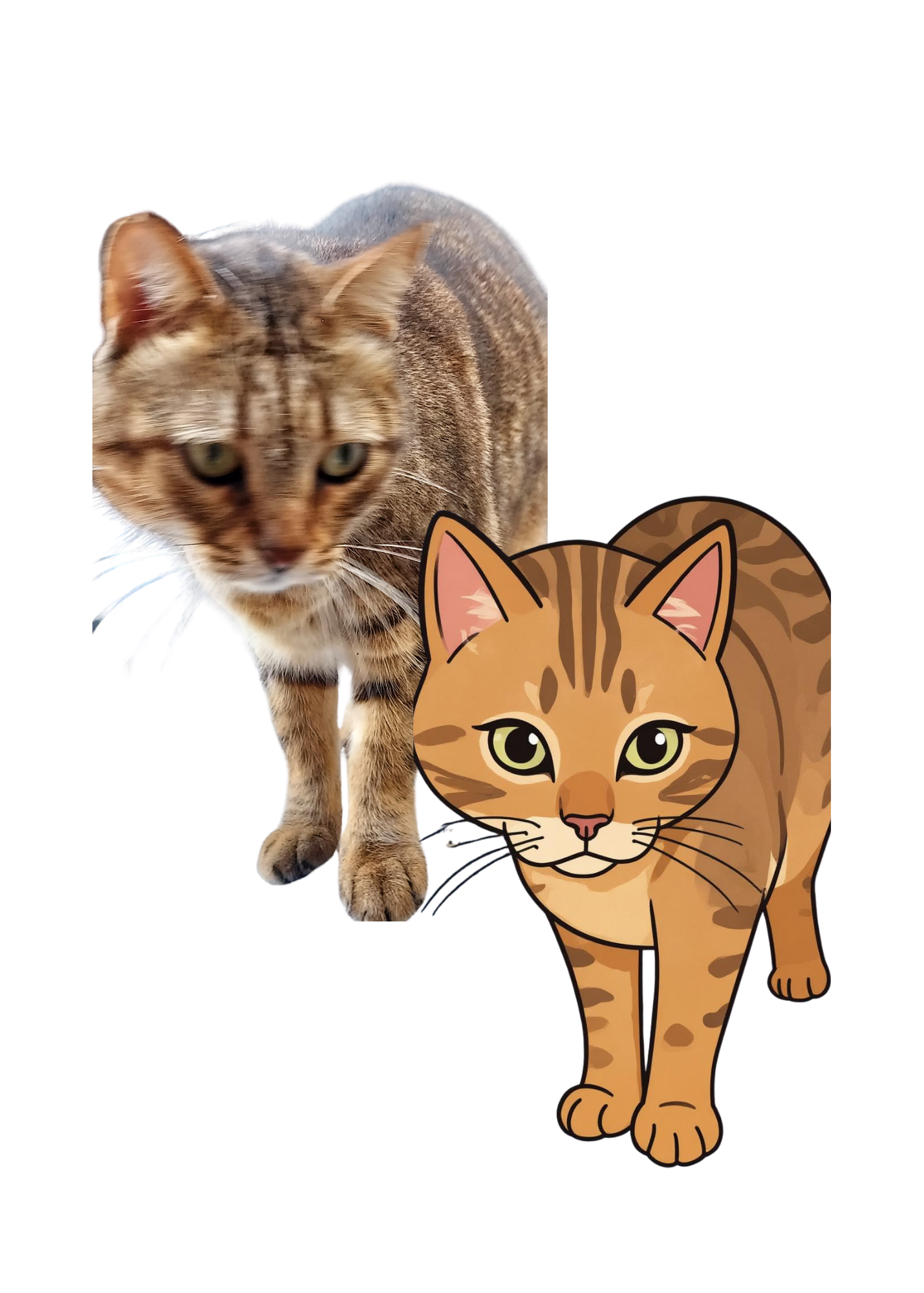 Cat Portrait Original & Cartoon Bundle - Digital Wall Art