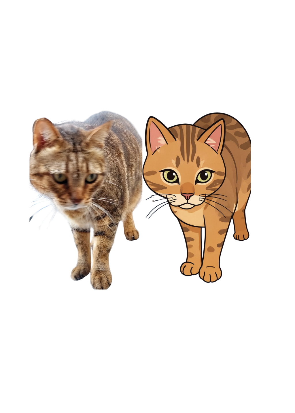 Cat Portrait Original & Cartoon Bundle - Digital Wall Art