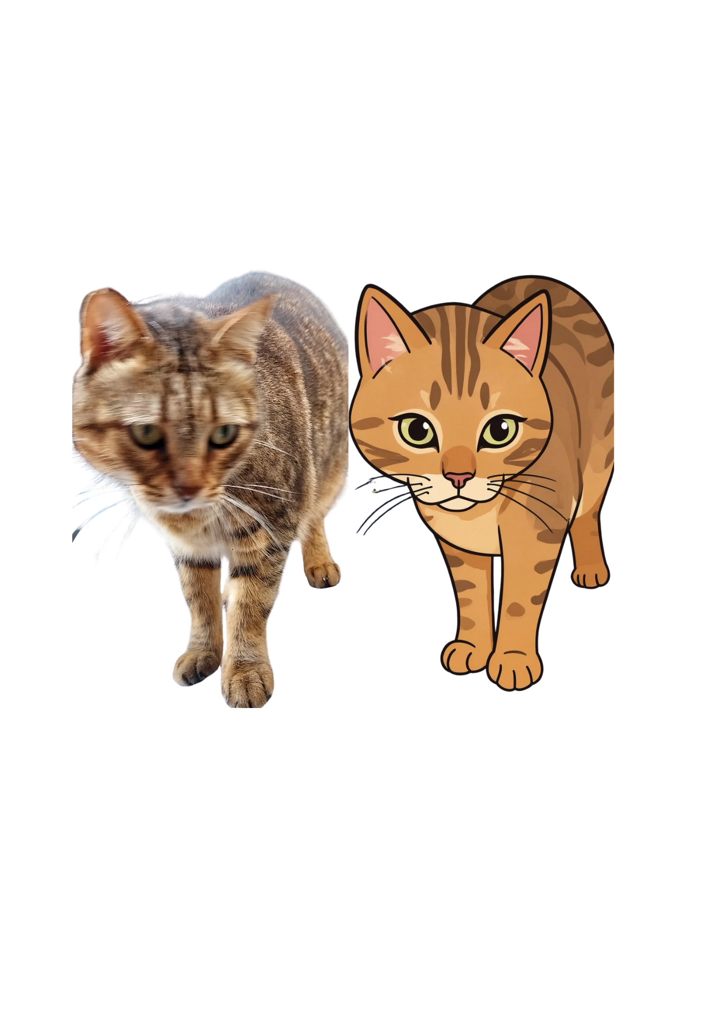 Cat Portrait Original & Cartoon Bundle - Digital Wall Art