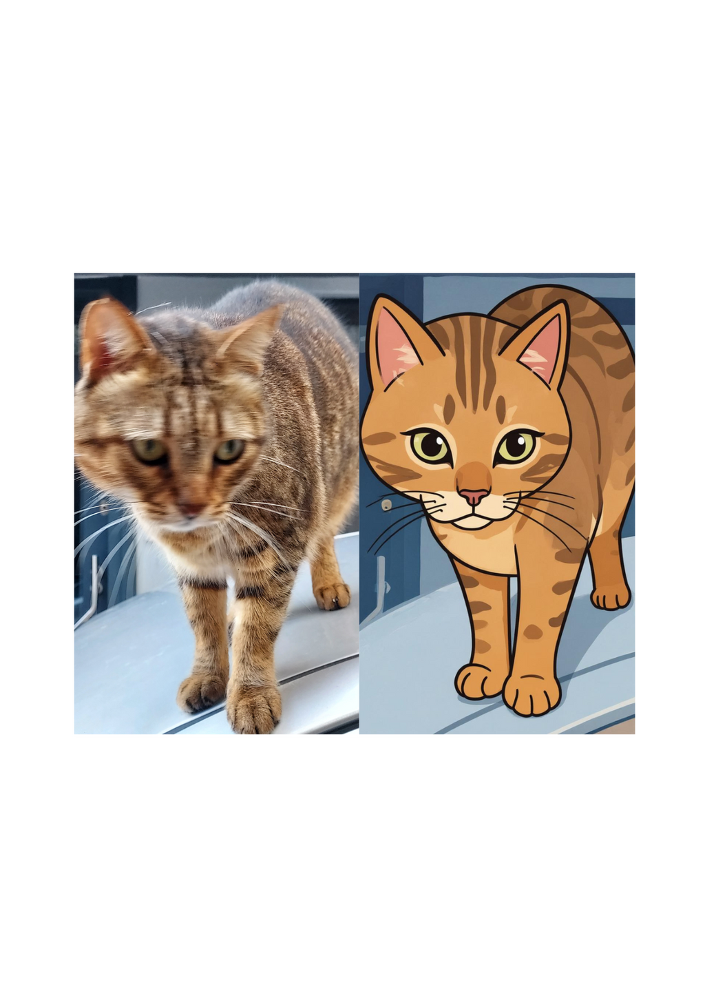 Cat Portrait Original & Cartoon Bundle - Digital Wall Art