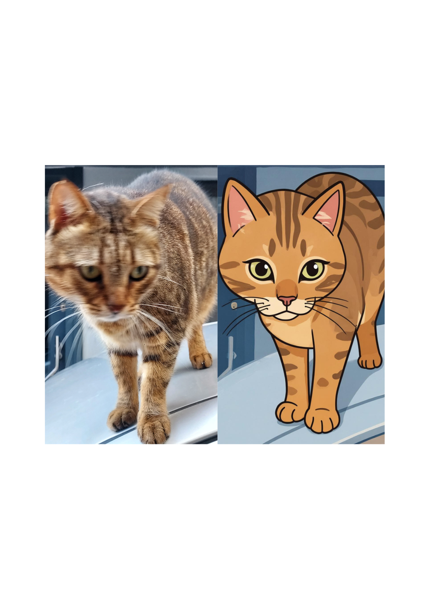 Cat Portrait Original & Cartoon Bundle - Digital Wall Art