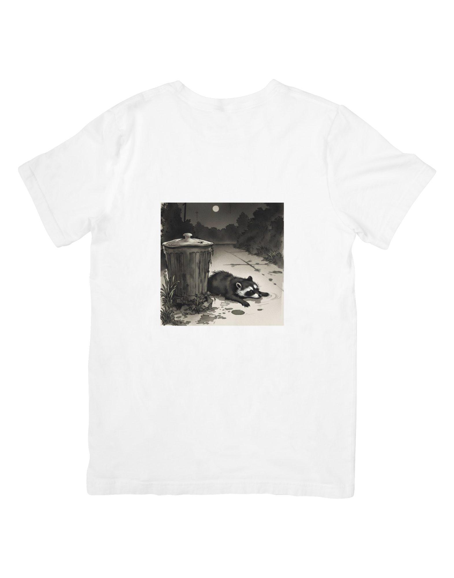 11 Raccoon Animation Wall Art Bundle - Kids Room & Home Decor Digital Prints - Suitable for Print on Demand