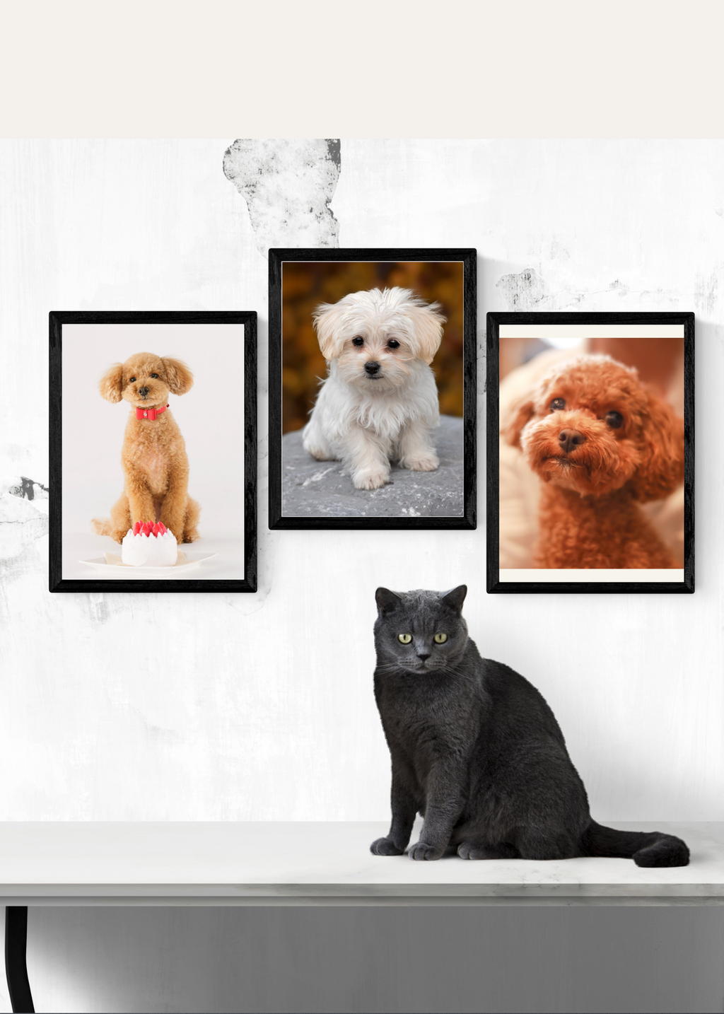 19 Cute Dogs Portraits Wall Art - 2 Sizes - Kids Room & Nursery Decor - Print on Demand - Instant Download