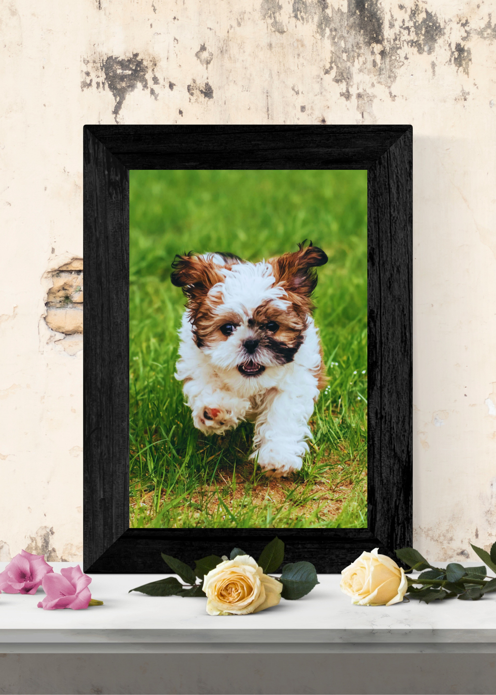 19 Cute Dogs Portraits Wall Art - 2 Sizes - Kids Room & Nursery Decor - Print on Demand - Instant Download