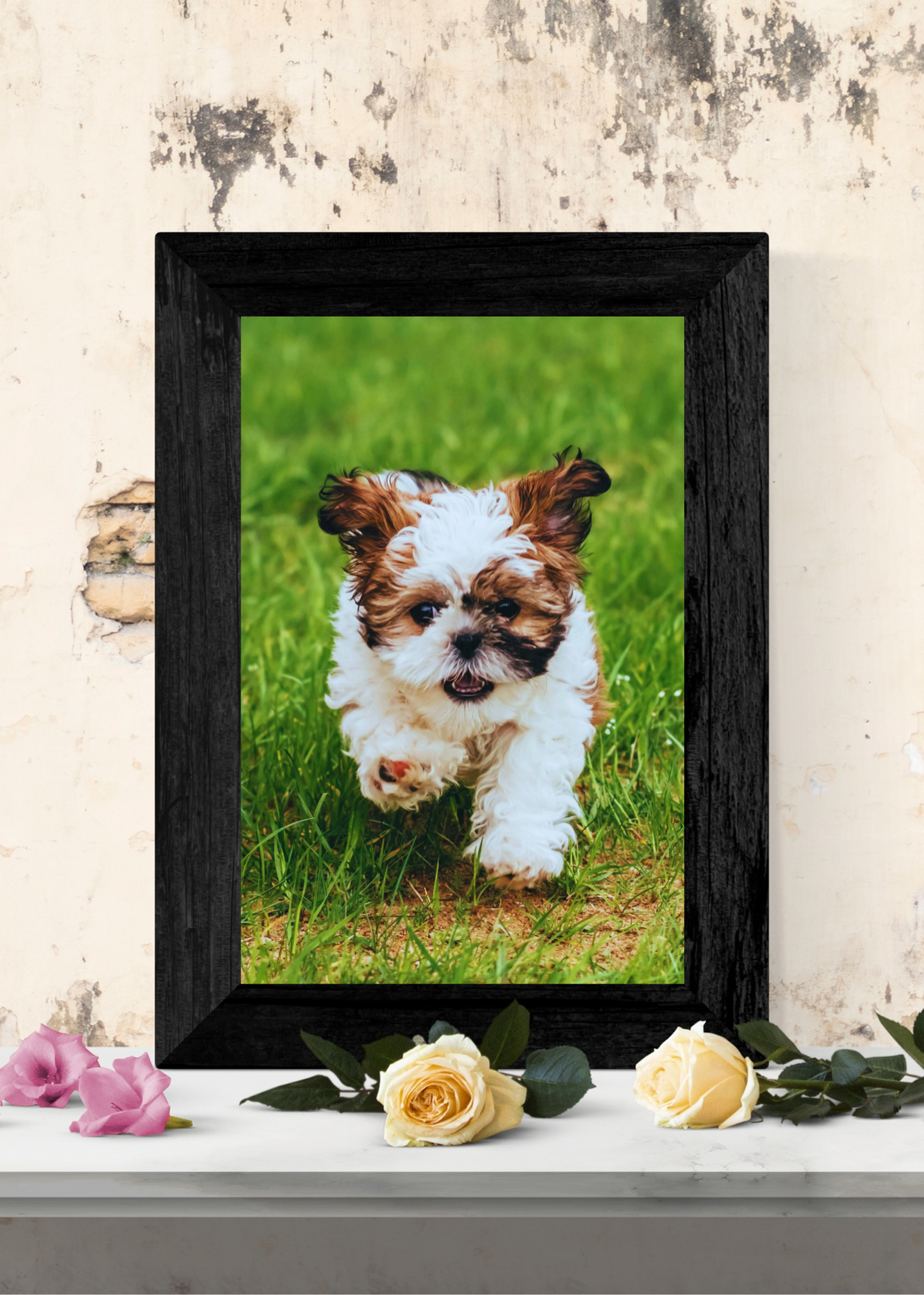 19 Cute Dogs Portraits Wall Art - 2 Sizes - Kids Room & Nursery Decor - Print on Demand - Instant Download