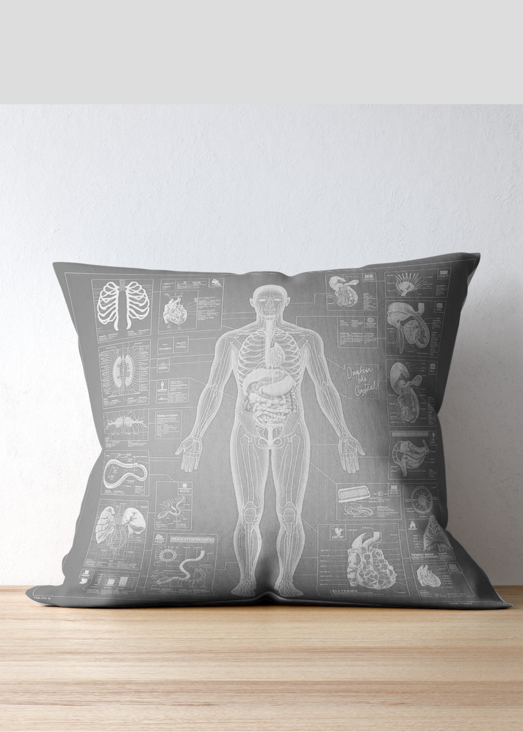 18 Human Anatomy Blueprint Wall Art - Medical Decor & Print on Demand - Instant Download