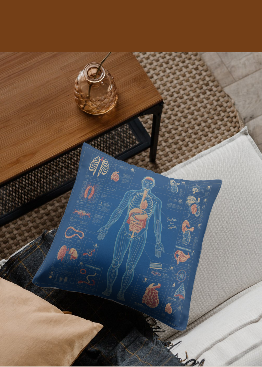 18 Human Anatomy Blueprint Wall Art - Medical Decor & Print on Demand - Instant Download
