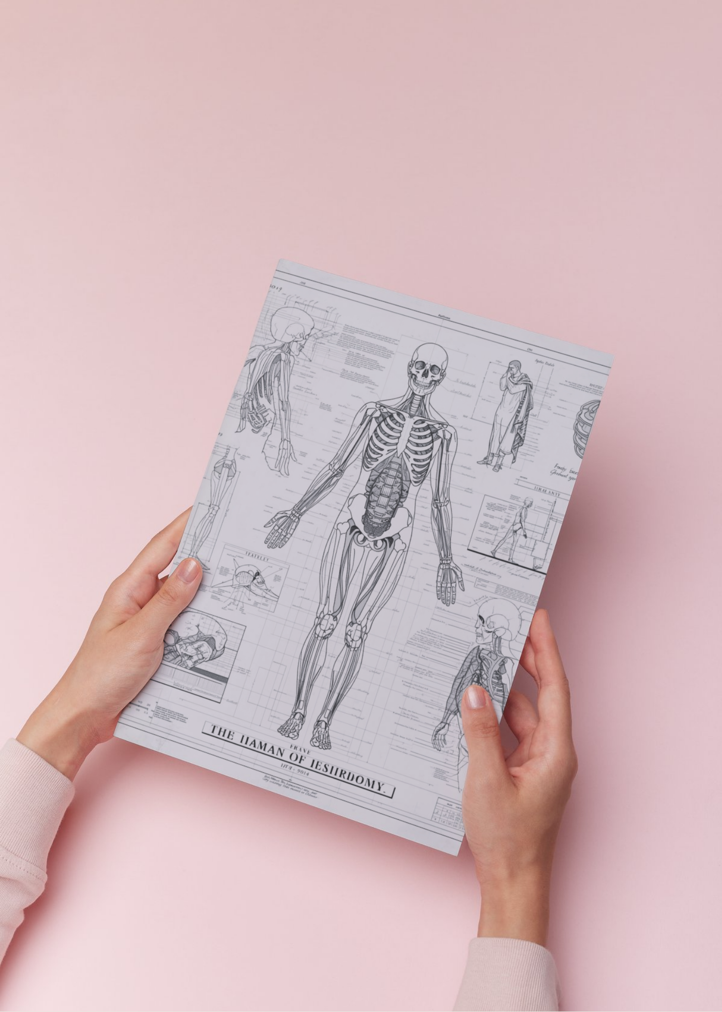 18 Human Anatomy Blueprint Wall Art - Medical Decor & Print on Demand - Instant Download