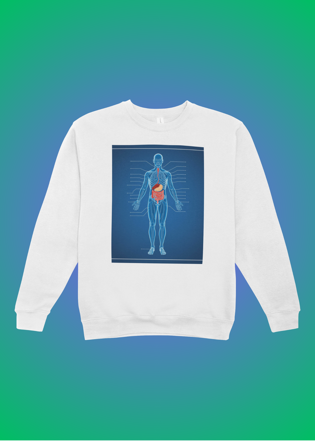 18 Human Anatomy Blueprint Wall Art - Medical Decor & Print on Demand - Instant Download