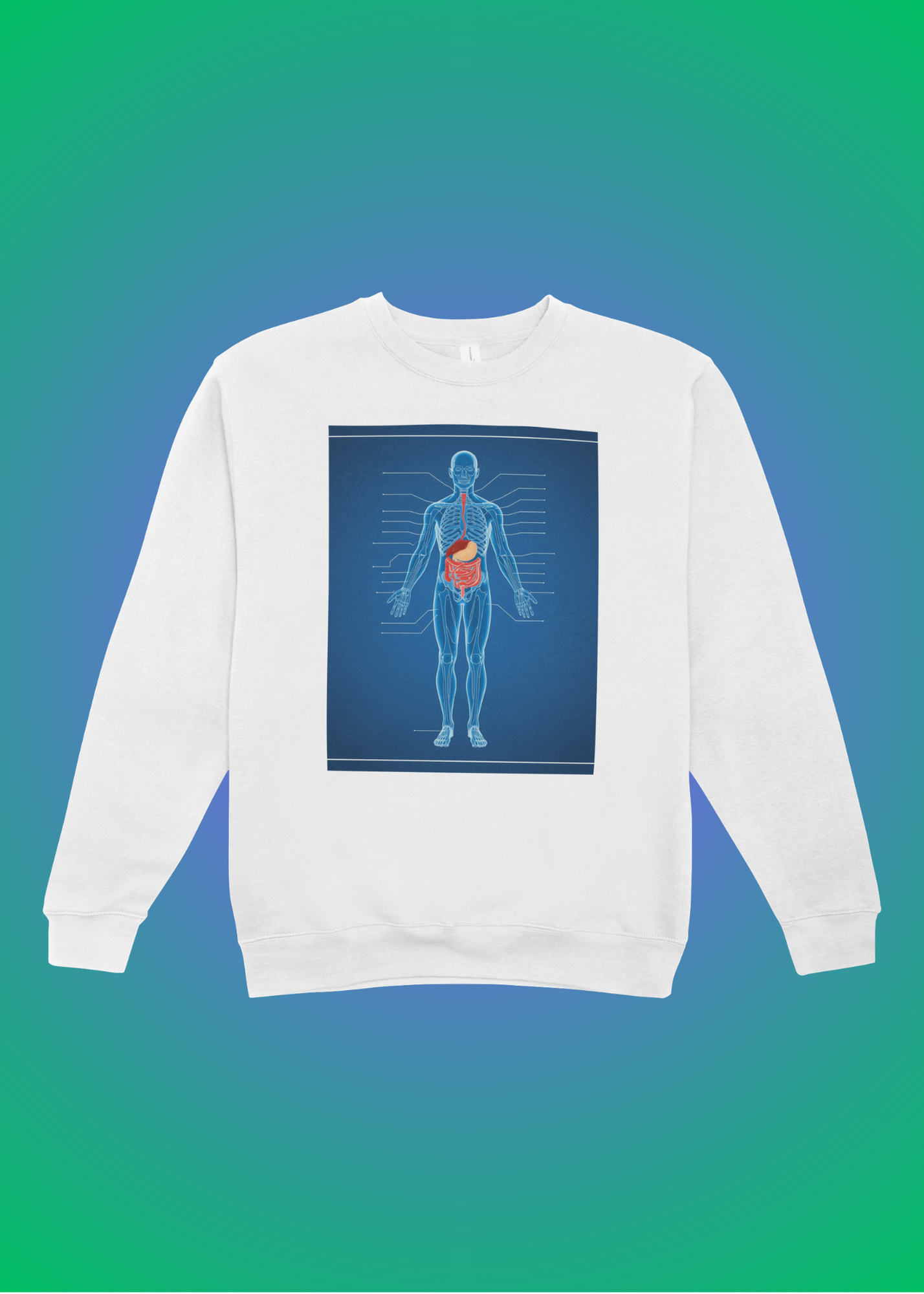 18 Human Anatomy Blueprint Wall Art - Medical Decor & Print on Demand - Instant Download