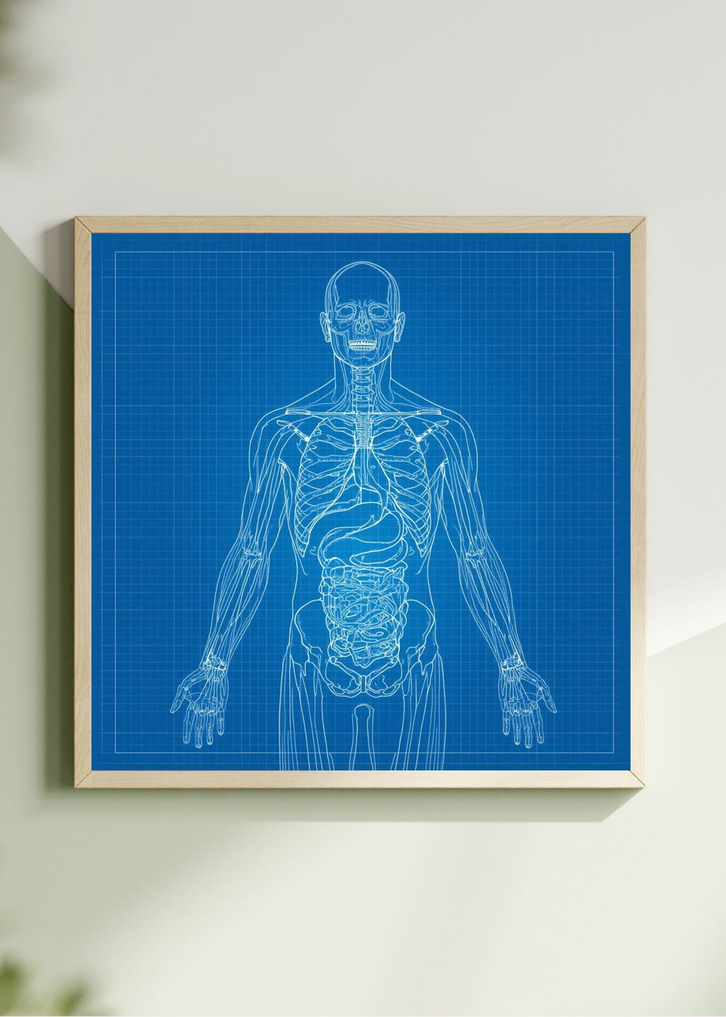 18 Human Anatomy Blueprint Wall Art - Medical Decor & Print on Demand - Instant Download