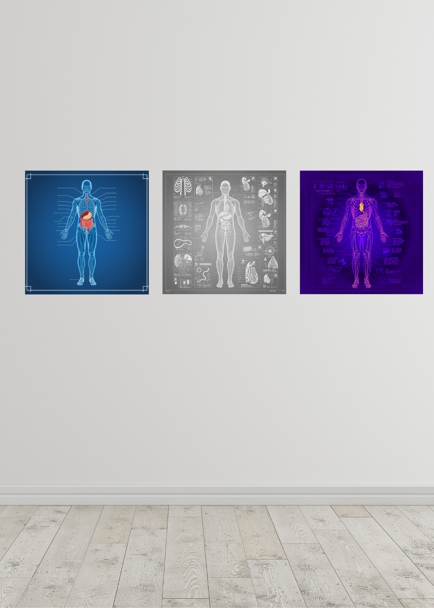 18 Human Anatomy Blueprint Wall Art - Medical Decor & Print on Demand - Instant Download