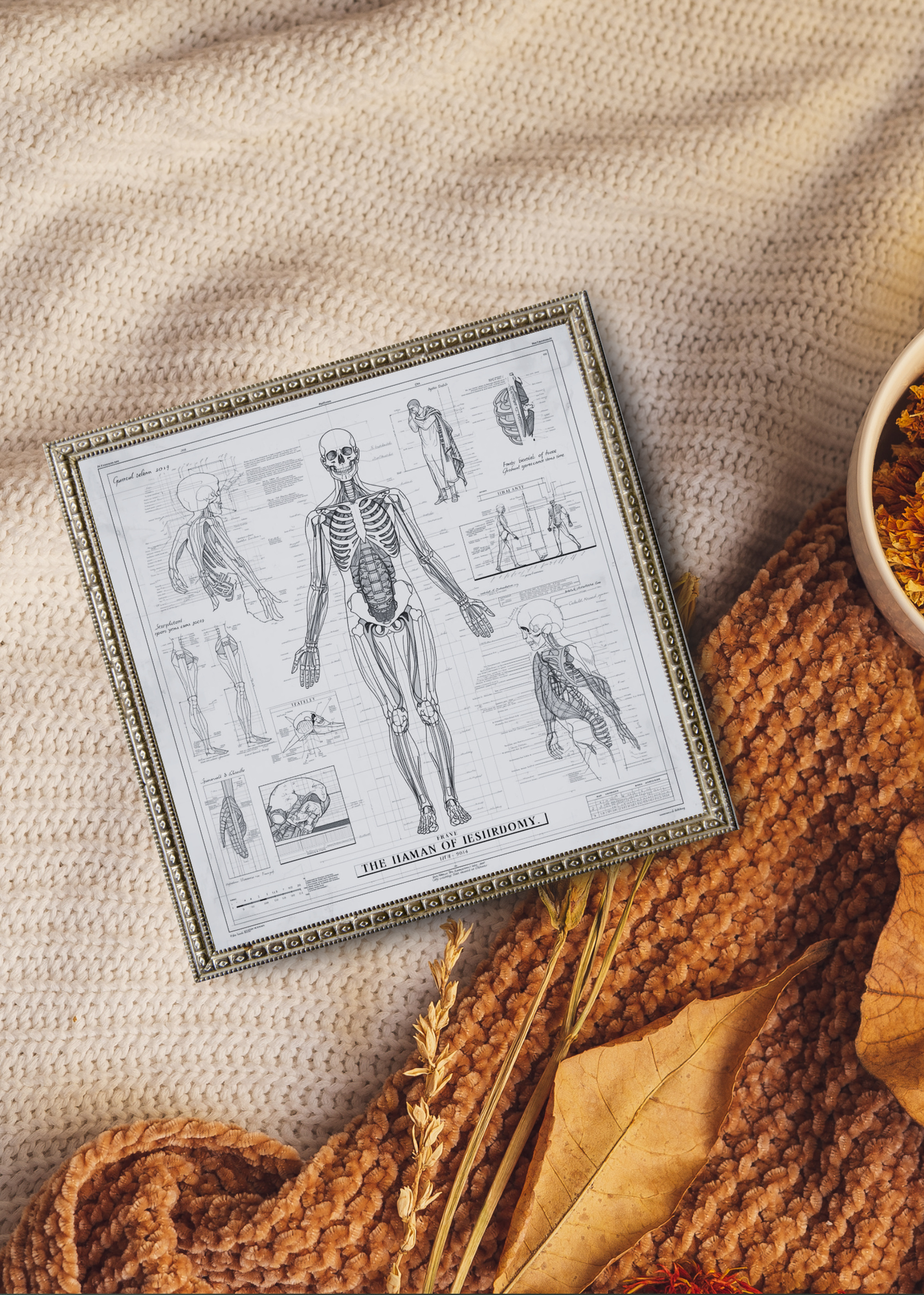 18 Human Anatomy Blueprint Wall Art - Medical Decor & Print on Demand - Instant Download