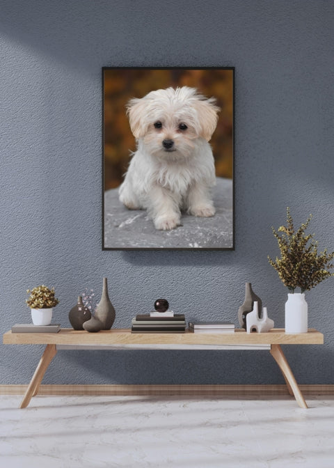 19 Cute Dogs Portraits Wall Art - 2 Sizes - Kids Room & Nursery Decor - Print on Demand - Instant Download