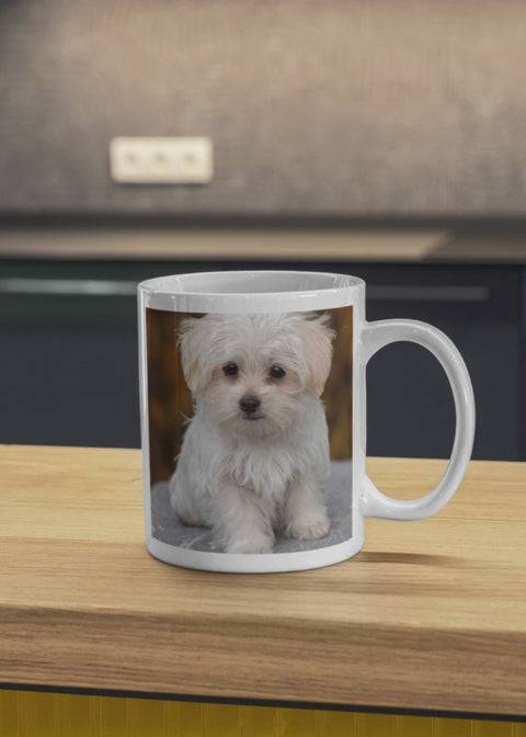 19 Cute Dogs Portraits Wall Art - 2 Sizes - Kids Room & Nursery Decor - Print on Demand - Instant Download