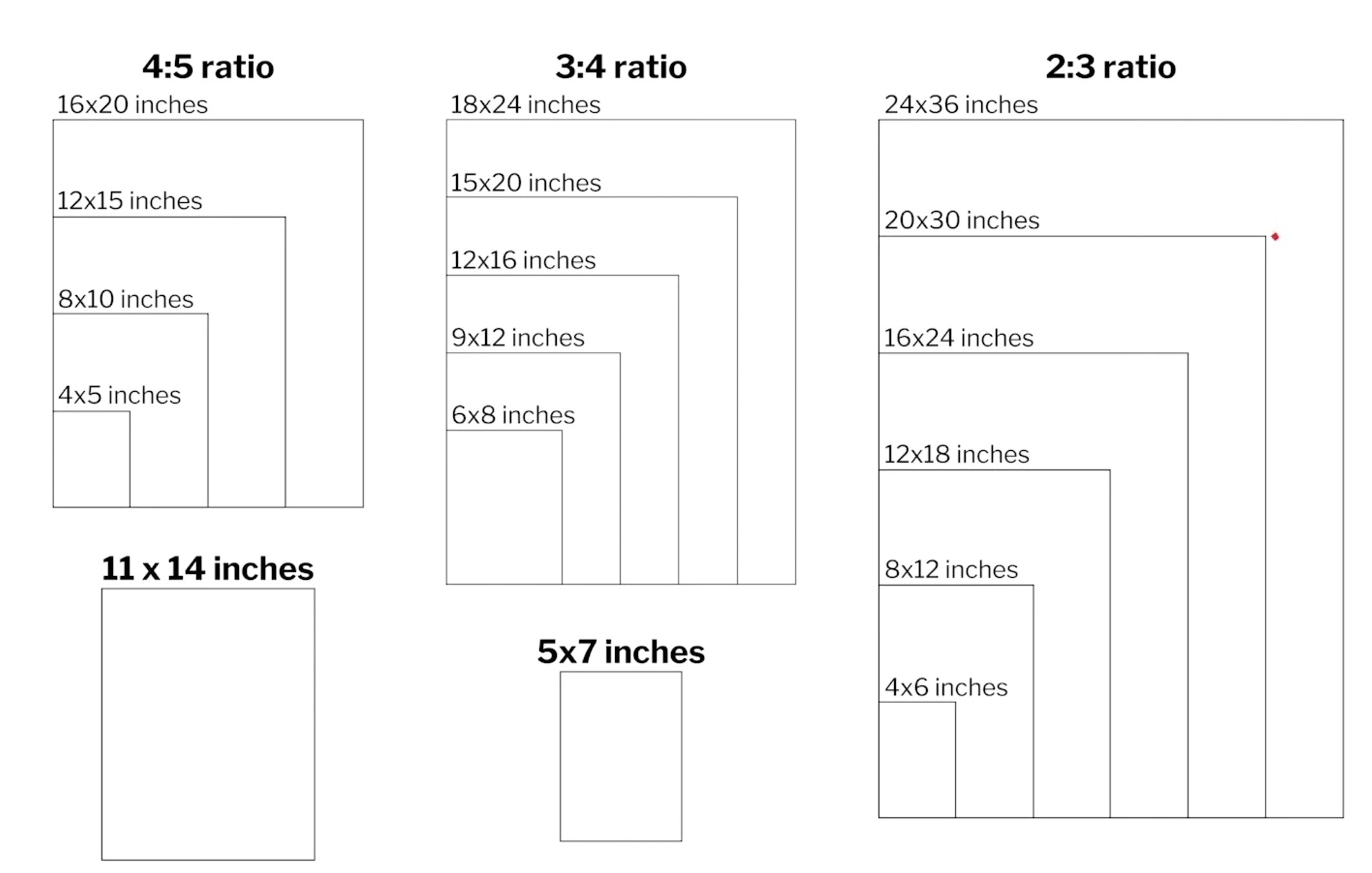 15 Animals Wall Art Bundle - Cartoon & Real Portraits - Instant Download