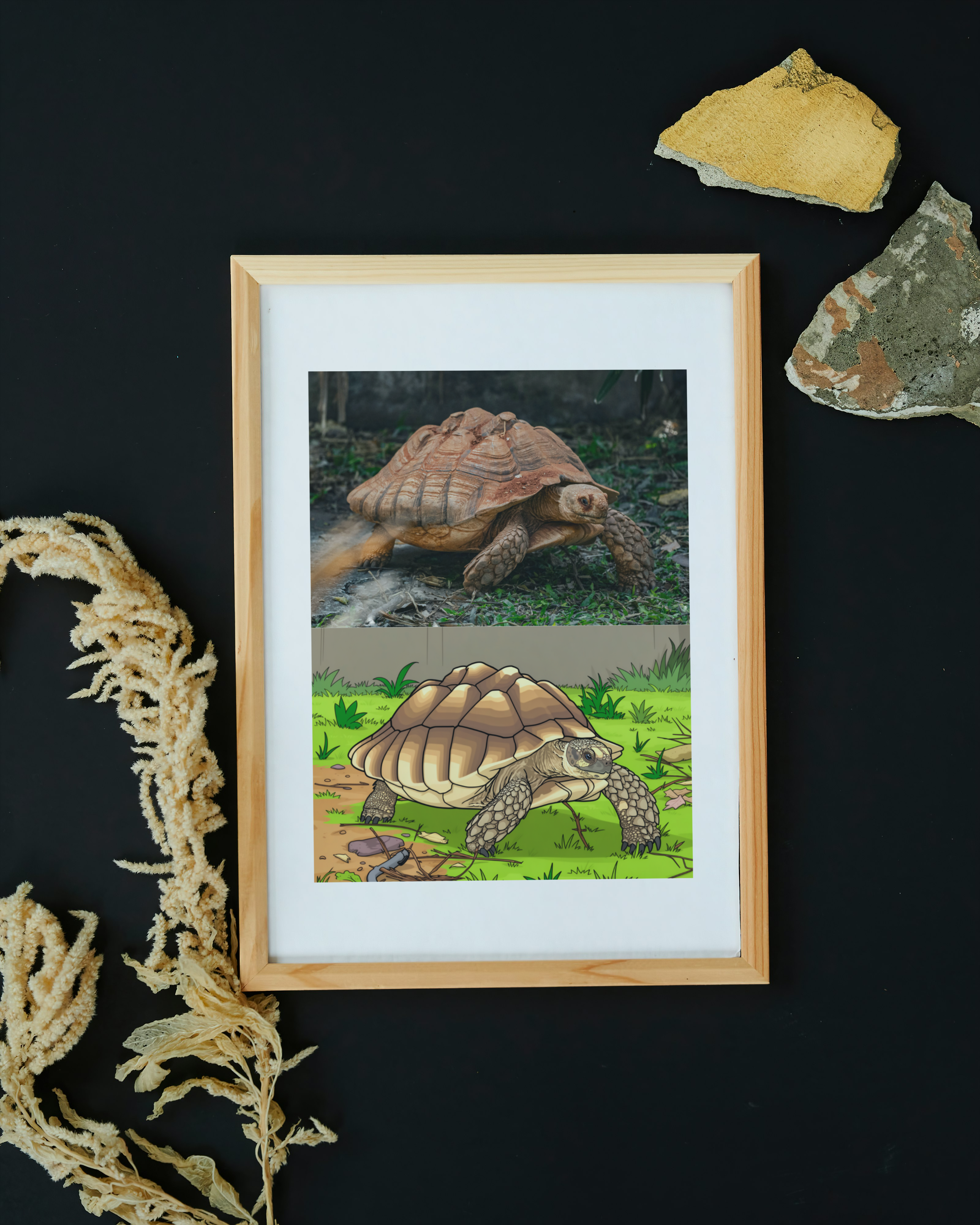 19 Animal Photos with Cartoonified Pictures Bundle - 5 Sizes for Kids Room, Home Decor & Print on Demand